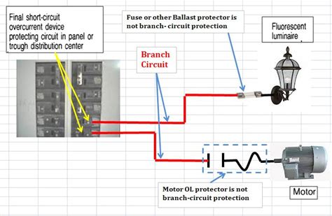 branches from electrical box|branch circuit for electricians.